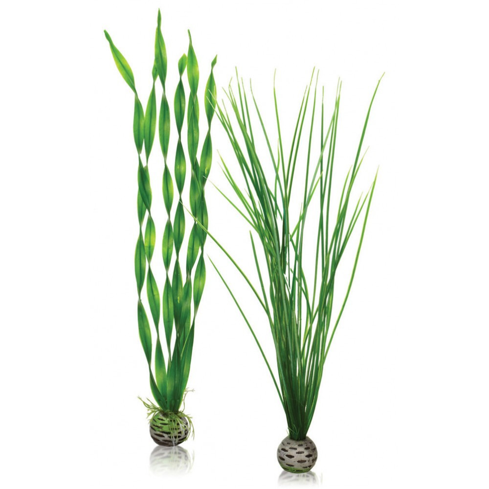 biOrb Easy Plant x 2 Large green